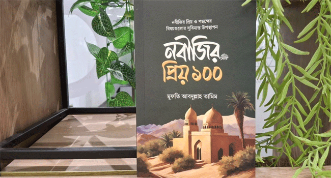 ‘নবীজির প্রিয় ১০০’ বইয়ের ছবি