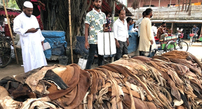 কোরবানির চামড়া