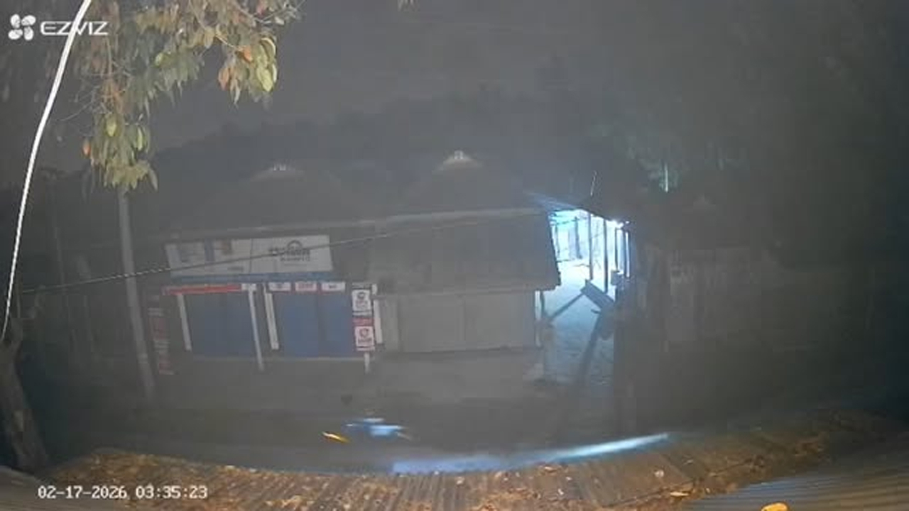 কুকুর সদৃশ রোবট