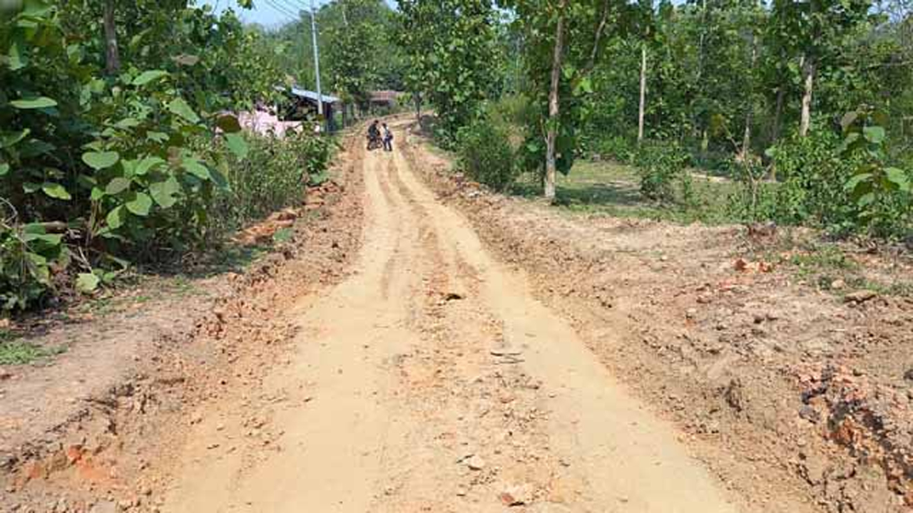 বিলাইছড়ি-কাপ্তাই কারিগরপাড়া সড়ক
