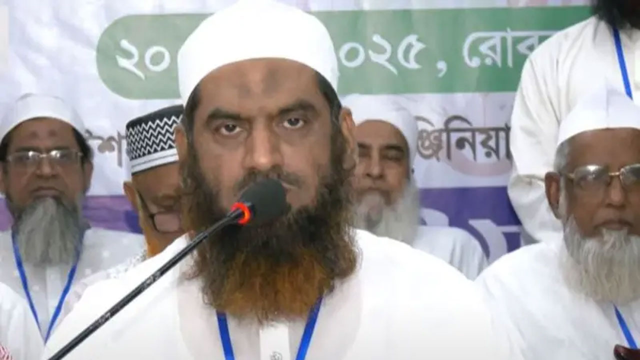 মাওলানা মামুনুল হক