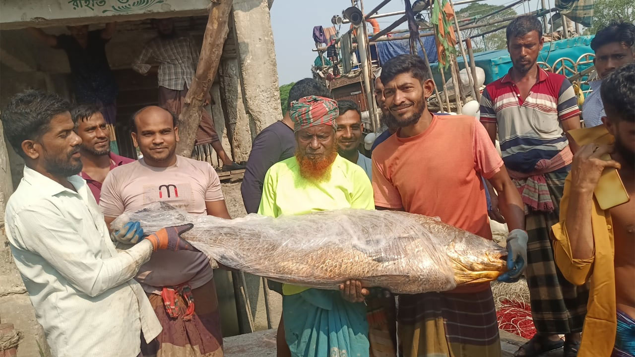 বঙ্গোপসাগরে ধরা পড়েছে ৩৪ কেজির ভোল মাছ
