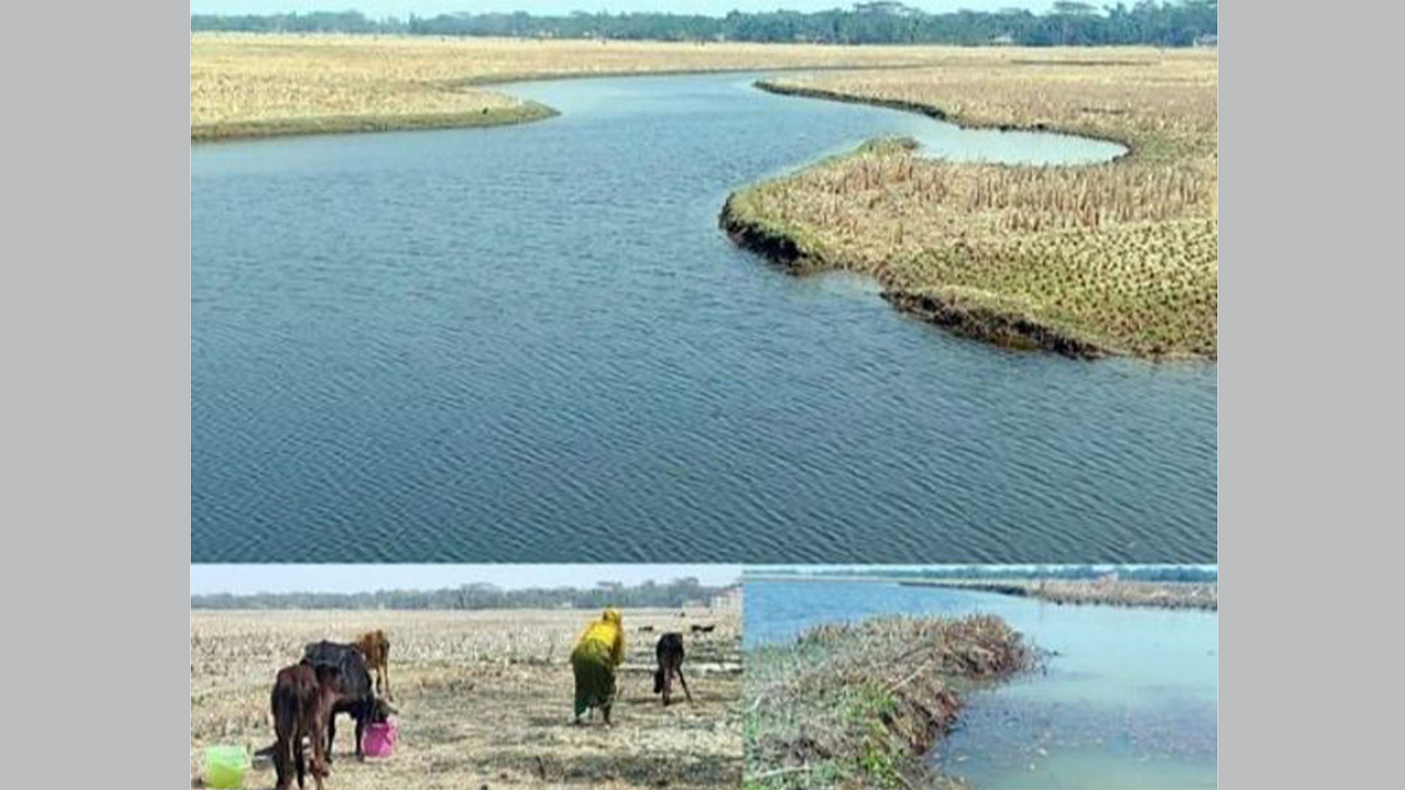খালে লোনা পানির প্রবেশ