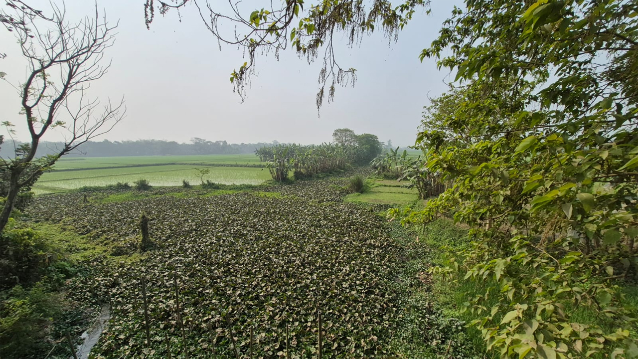 শহীদ জিয়ার স্মৃতিবিজড়িত খাল