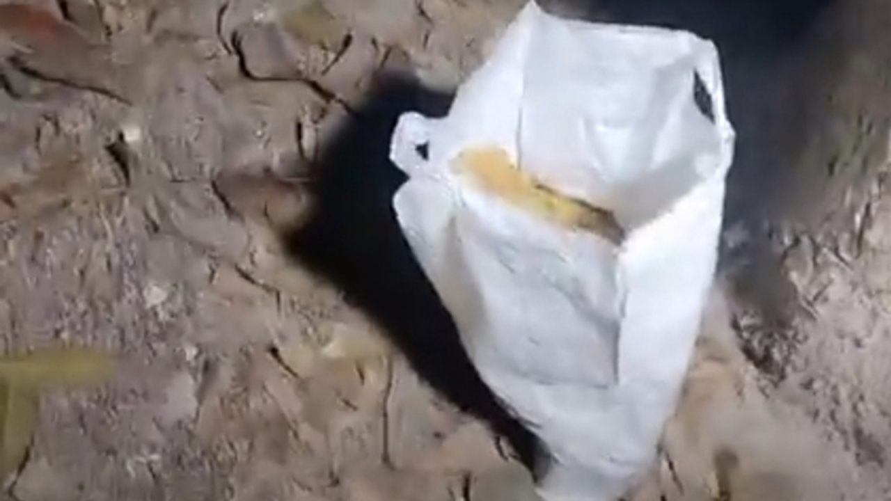 বোমা সদৃশবস্তু