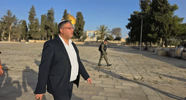 বেন গাভির