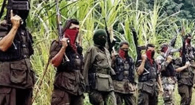 কলম্বিয়ায় গেরিলাবিরোধী অভিযান