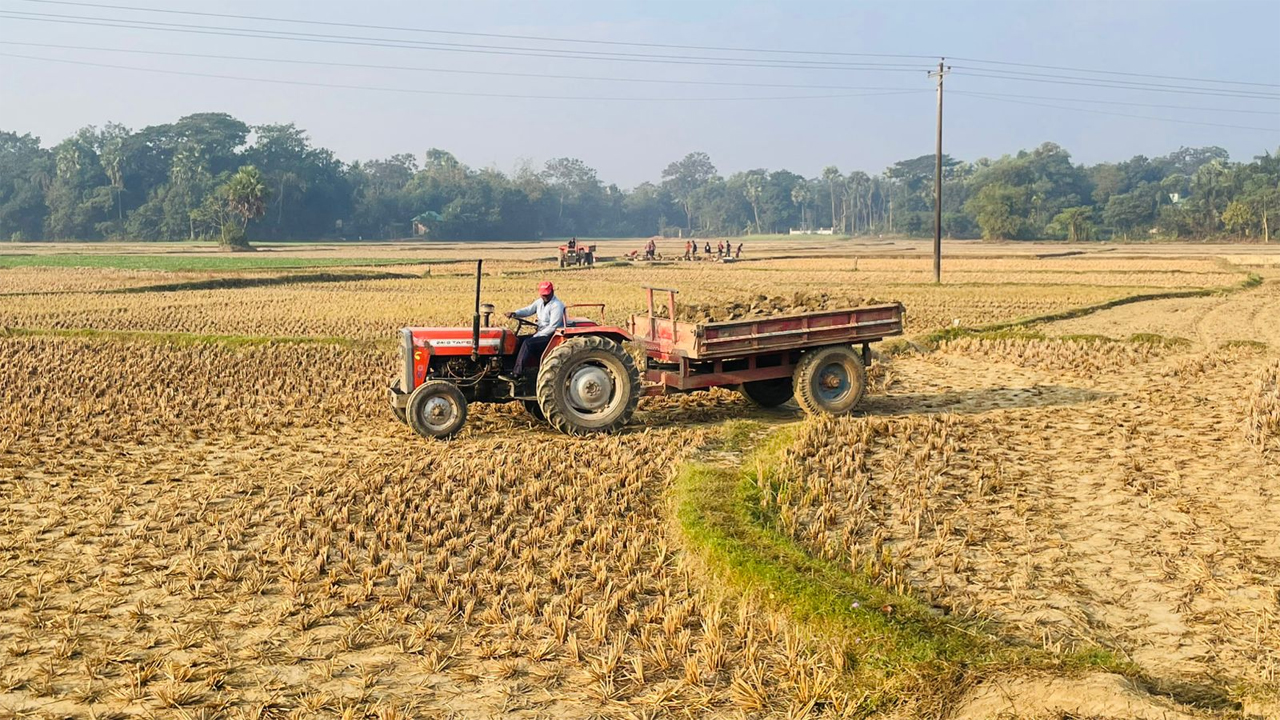 ফসলী জমির মাটি যাচ্ছে নির্মানাধীন বাড়ি ও ইট ভাটায়