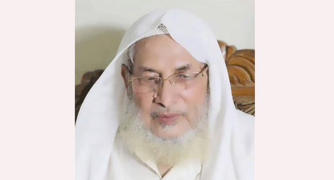 আল্লামা সুলতান যওক নদভী