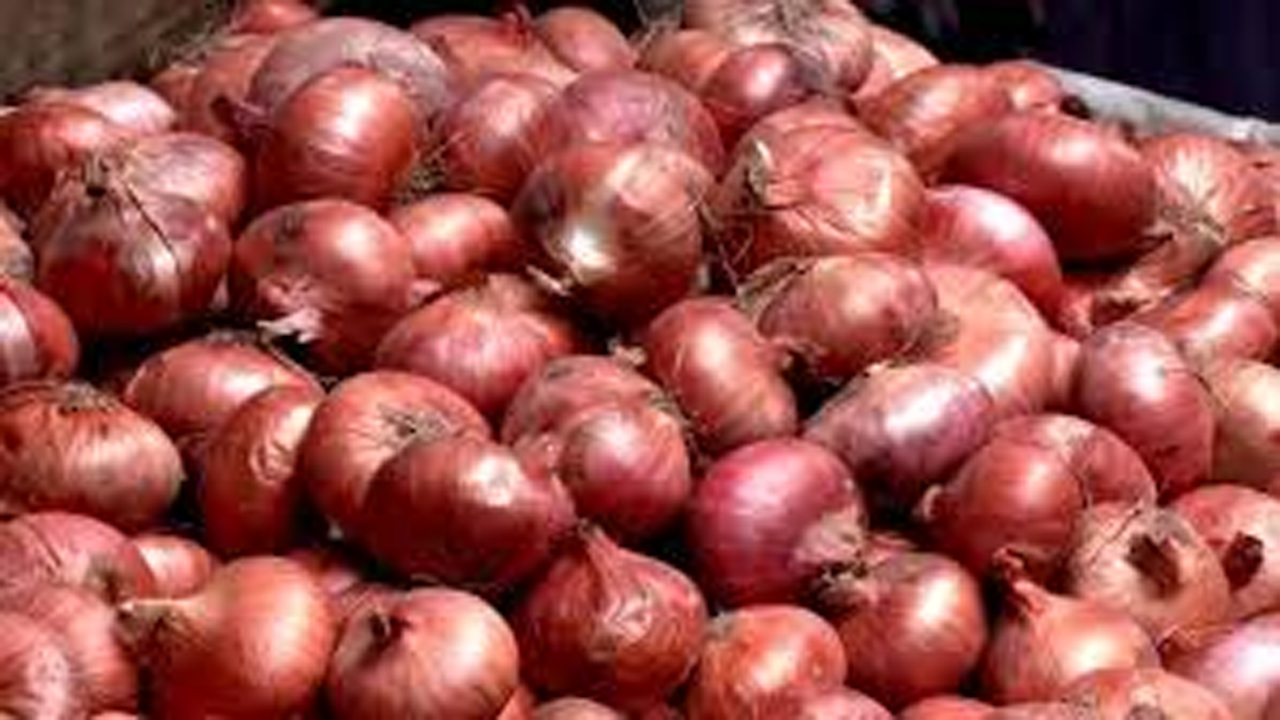 পেঁয়াজ চাষে ঝুঁকছেন কৃষকরা