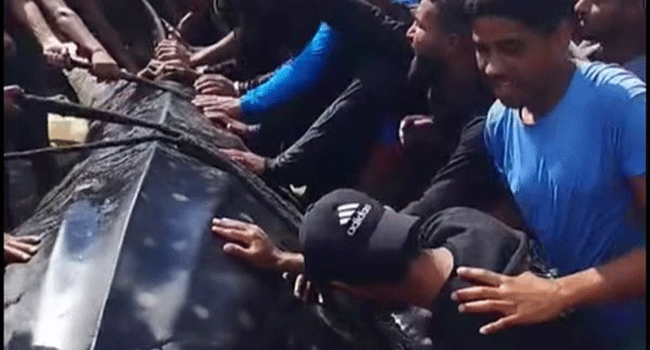 গাজার জেলেরা একটি বিরল মাছ ধরেছে