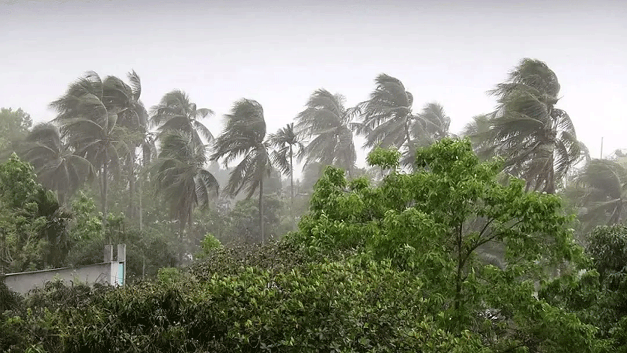 ঝড়বৃষ্টির আভাস