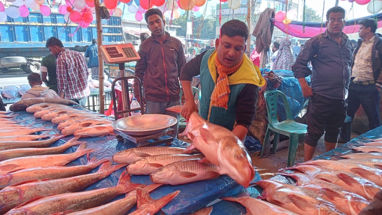 ঐতিহ্যবাহী মাছের মেলা