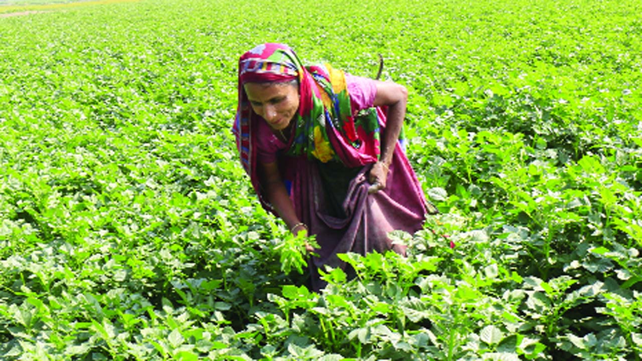 আন্তর্জাতিক নারী দিবস আজ