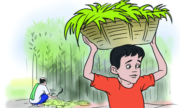 আসাদের স্বপ্ন:  মোহাম্মদ শরীফ