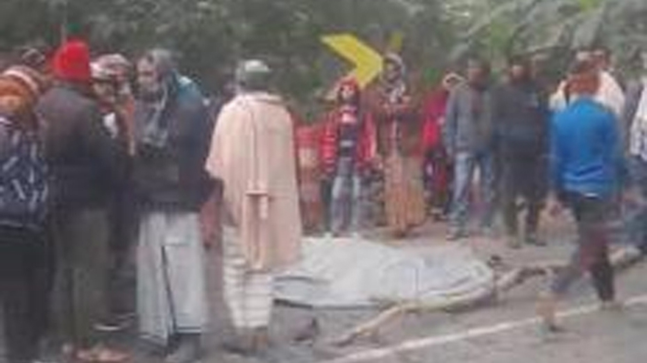 সড়ক দুর্ঘটনায় নিহত মোহাম্মদ আলী