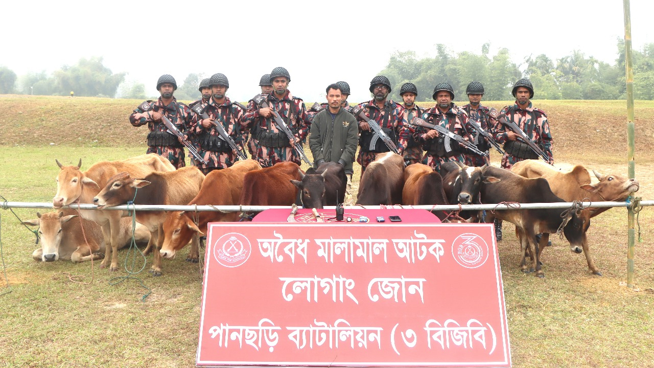 ভারতীয় গরুসহ চোরাকারবারি আটক