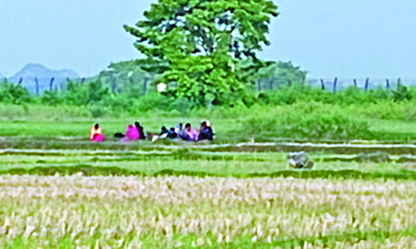 যশোরের বেনাপোল সীমান্তের ওপারে পুশইনের জন্য নারী-পুরুষ ও শিশুদের জড়ো করে রেখেছে বিএসএফ : নয়া দিগন্ত