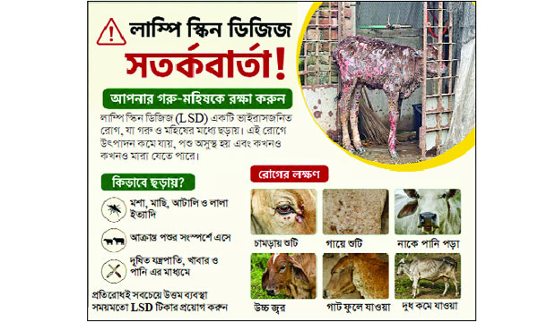 হাওরাঞ্চলে মহামারী আকারে ‘লাম্পি স্কিন’ বাছুরের মৃত্যুতে দিশেহারা খামারিরা