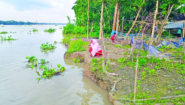 সন্ধ্যানদীর ভাঙনে বিলীন হচ্ছে বানারীপাড়া ও উজিরপুরের বিস্তীর্ণ এলাকা