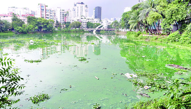 রাজধানীর গুলশান লেকে আবর্জনার কারণে দুর্গন্ধ ছড়িয়ে পড়ছে। ফলে বসবাস করাই দুষ্কর এলাকাবাসীর