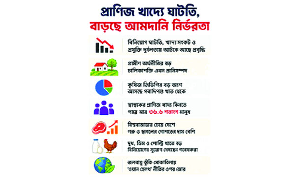 প্রাণিজ খাদ্য উৎপাদনে ঘাটতি বাড়ছে আমদানিনির্ভরতা