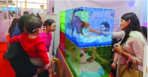 পুরনো বাণিজ্যমেলা প্রাঙ্গনে প্রাণিসম্পদ মেলায় দর্শনার্থীদের ভিড়  : নয়া দিগন্ত