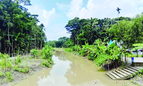 আমতলীতে কেওয়াবুনিয়া খাল পুনরায় খনন করা হয় : নয়া দিগন্ত