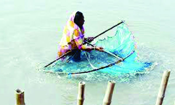 লবণাক্ত পানিতে মাছের পোনা ধরছেন এক নারী : নয়া দিগন্ত