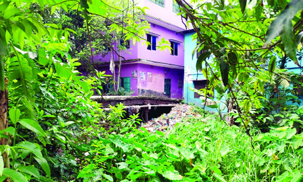 দখল দুষণে হারিয়ে যাচ্ছে টরকী-বাশাইল খাল : নয়া দিগন্ত