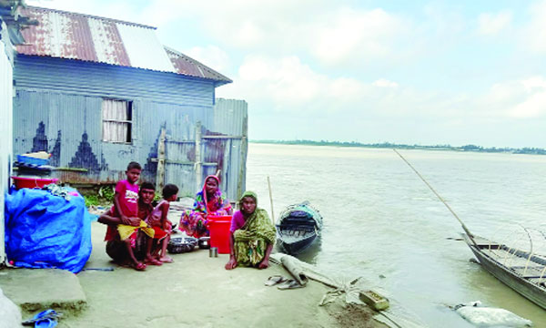 তিস্তার ভাঙনে বসতভিটার একাংশ হারিয়ে অসহায় একটি পরিবার : নয়া দিগন্ত