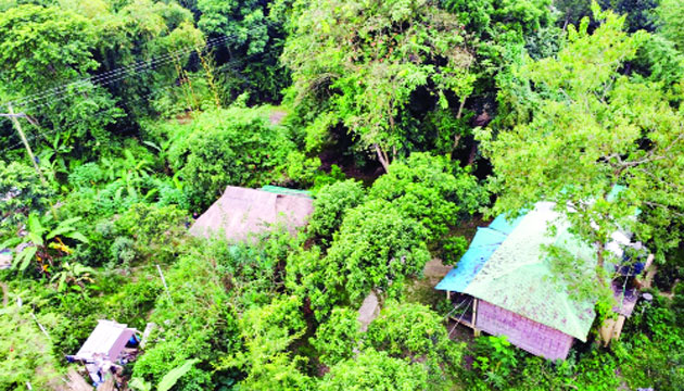 রাধানগর গ্রামে পর্যটকদের বিশ্রামের জন্য বাঁশের তৈরি ঘর
