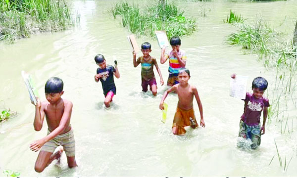 গলাচিপায় সাঁতার কেটে খাল পার হয়ে স্কুল যাচ্ছে শিশুরা	: নয়া দিগন্ত