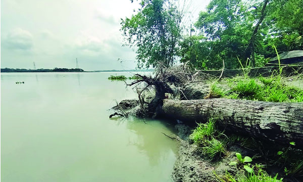 সুগন্ধার ভাঙনের দৃশ্য : নয়া দিগন্ত