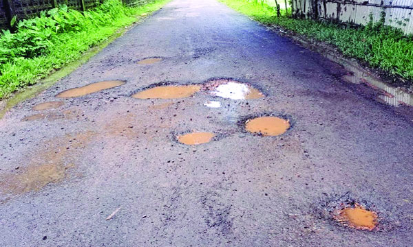 সংস্কারের এক মাসের মধ্যেই উঠে যাচ্ছে কার্পেটিং : নয়া দিগন্ত