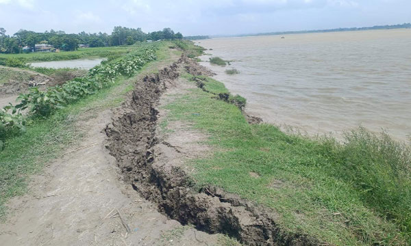ভাঙনকবলিত বেড়িবাঁধ : নয়া দিগন্ত