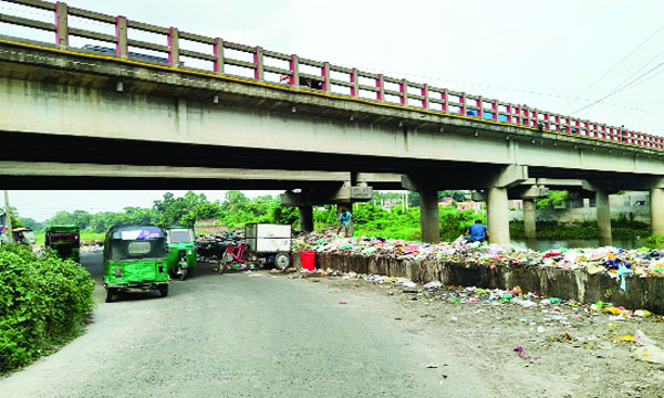 মোগড়াপাড়া চৌরাস্তায় সেতুর নিচে সড়কটি ময়লায় সয়লাব : নয়া দিগন্ত