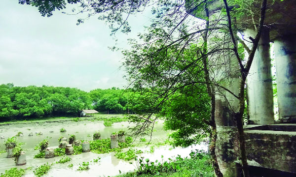 আংশিক নির্মাণের পর ২০০৩ সালে পুরোপুরি বন্ধ হয়ে যায় কাজ : নয়া দিগন্ত