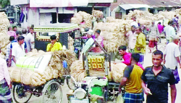 লোহাগড়ার মিঠাপুর হাটে জমে উঠেছে পাট বেচাকেনা : নয়া দিগন্ত