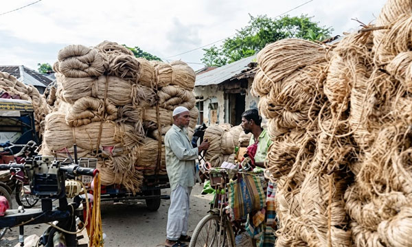 লালমনিরহাটে নতুন পাট কেনা-বেচার দৃশ্য : নয়া দিগন্ত
