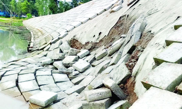 মধুপুরে কুড়ালিয়া সড়ক রক্ষাবাঁধ ধসে যাওয়ার চিত্র :  নয়া দিগন্ত
