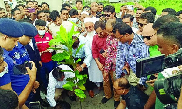 রূপগঞ্জের ভুলতায় গাছের চারা রোপণ করছেন স্থানীয় সরকার প্রতিমন্ত্রী মীর শাহে আলম : নয়া দিগন্ত