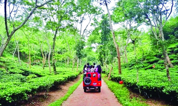 শ্রীমঙ্গলের পথে পর্যটকরা : নয়া দিগন্ত