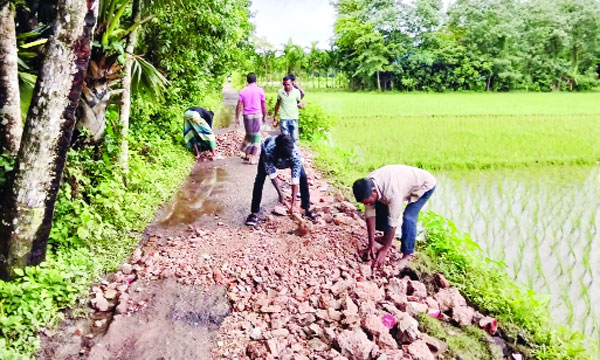 স্ব-উদ্যোগে সড়ক মেরামতের কাজ চলছে : নয়া দিগন্ত