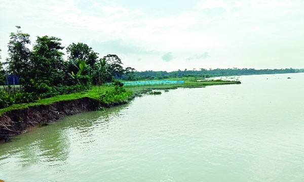 ঝালকাঠির সুগন্ধা নদীর তীর ভাঙনের দৃশ্য :  নয়া দিগন্ত