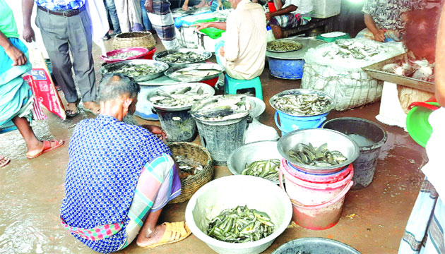 নগরকান্দার স্থানীয় বাজারে দেশী মাছের আকাল : নয়া দিগন্ত