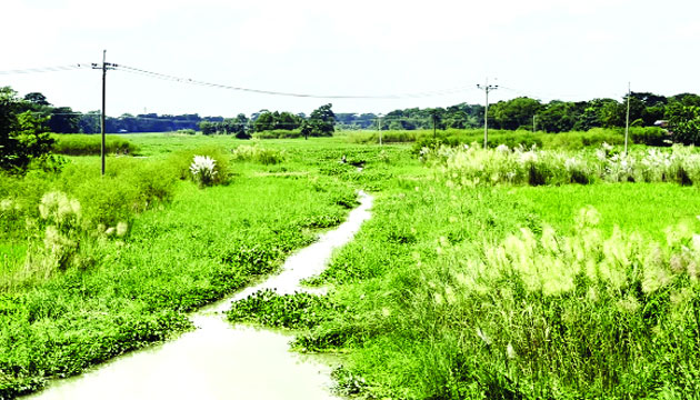 কীর্তিনাশার শাখা নদীটি সরু হয়ে এই রূপ ধারণ করেছে