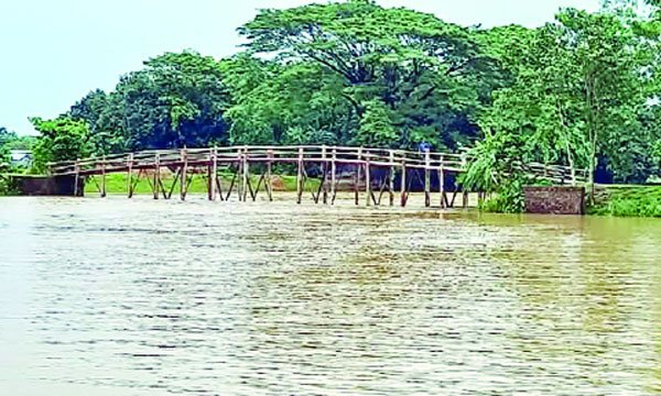 গ্রামবাসীর অর্থায়নে নির্মিত বাঁশের সাঁকো : নয়া দিগন্ত