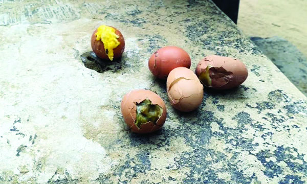 শরণখোলায় স্কুল ফিডিংয়ের ডিম খেয়ে অসুস্থ শিক্ষার্থীরা