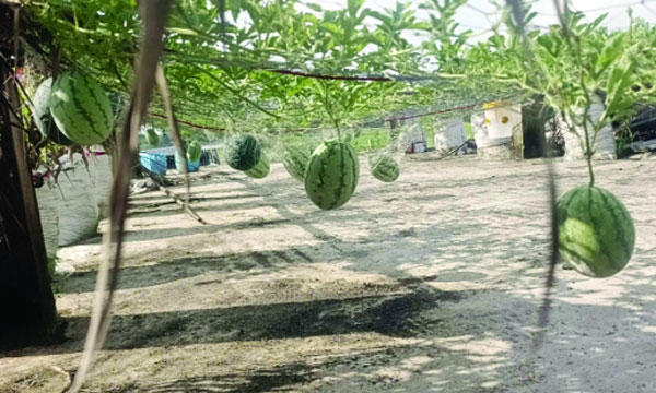 সাভারে জামায়াতে ইসলামীর শিক্ষাশিবিরে বক্তব্য রাখেন হামিদুর রহমান আযাদ : নয়া দিগন্ত